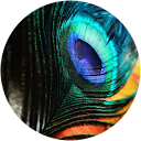 vikash kumar profile picture