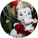 Smita Chandane profile picture