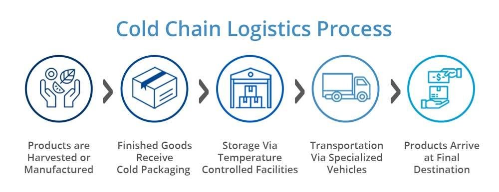 process of cold chain logistics